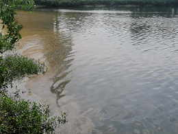 巧用碧水爽解决（油膜水、泡沫多、水分层）